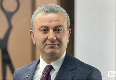 ABB CHP Grup Başkanvekili Yaşar Neslihanoğlu sokak hayvanları konusunda açıklama yaptı
