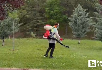 Etimesgut Belediyesi haşerelere karşı ilaçlamalara devam ediyor