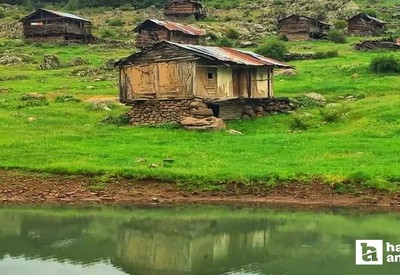 Ankara'nın en yeşil köyü, adeta başkentin Karadeniz'i! Şırıl şırıl akan deresi ve yeşilin her tonu burada