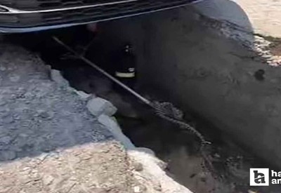 Çamlıdere'de aracın altına giren yılan çıkarıldı!