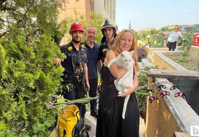 Çankaya'da apartman boşluğuna düşen kediyi itfaiye ekipleri halatla inerek kurtardı