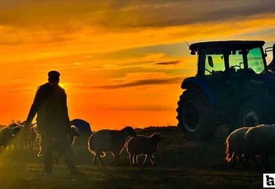 Yabancı çobanlar için çalışma izni başvuruları 12 Haziran'da başladı