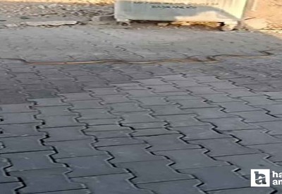 Yenimahalle Karşıyaka Mezarlığı'nda gezen yılanlar kamerada!