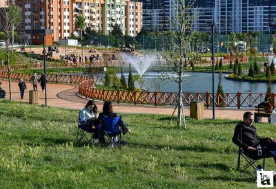 Ankara'da yakın zamanın akımı haline geldi: Her yeşil alanda ondan görebilirsiniz