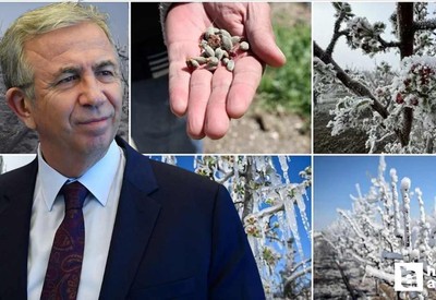 ABB'den zirai dondan etkilenen Ankaralı çiftçilere destek!