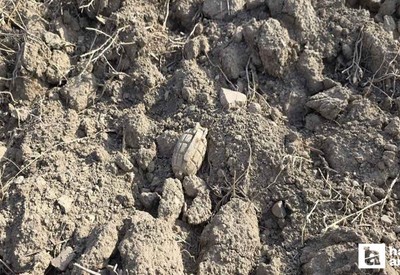 Haymana'da bir tarlada, Sakarya Meydan Muharebesinden kalma patlamamış el bombası bulundu
