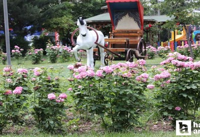 Keçiören Belediyesi'nden parklara estetik dokunuş