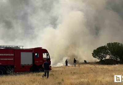 Güdül'de çıkan tarla yangınında maddi hasar oluştu