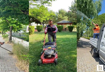 Kahramankazan Belediyesi, çevre düzenlemesi çalışmalarını sürdürüyor
