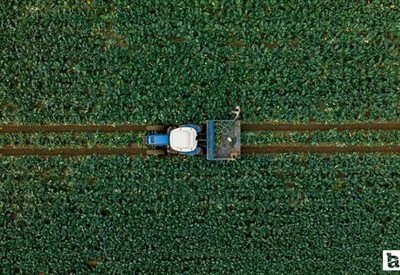 Bakan Yumaklı duyurdu! Çiftçilere destekleme ödemeleri gün içinde yatırılacak
