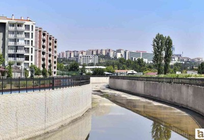 Ankara Çayı'nın durumu kritik: Tarihinde bir ilk yaşandı