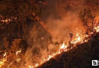 Eskişehir'de 5 orman işçisi ve 5 AKUT çalışanı şehit oldular