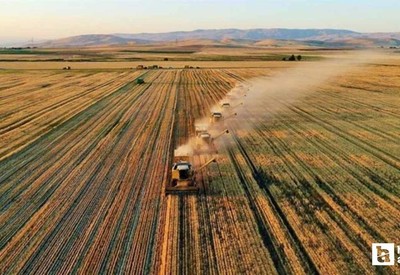 ABB'den başkentteki çiftçilere Temmuz ve Ağustos uyarısı
