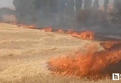 Beypazarı'nda elektrik kontağından anız yangını çıktığı iddia edildi