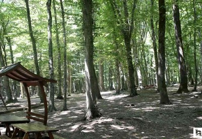 Yozgat'ta ormana girmek ve ateş yakmak 15 Ekim'e kadar yasaklandı