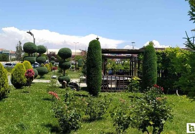Sincan Belediyesi yeşil alanların temizlik ve bakımına devam ediyor
