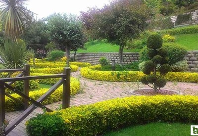Başkentlilerin en sevdiği parklar arasında: İçinde tam 80 farklı bitki türü var