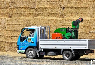 ABB, Polatlı'nın her mahallesini haşerelere karşı ilaçlıyor