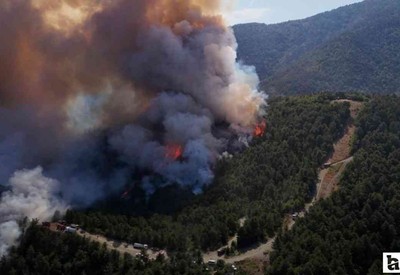 Karabük'te orman yangını başladı! Hızla büyüyor