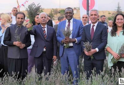 Keçiören Belediyesi'nin düzenlediği lavanta festivaline katılım yoğun oldu