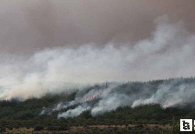 Devam eden Çanakkale Gelibolu yangını dron ile görüntülendi!
