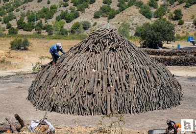 Ankara'nın en zor işi! Ekmeklerini kömürden çıkartıyorlar, kilosunu 30 TL'den satıyorlar