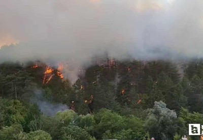 Bolu Mengen'de orman yangını havanın kararmasıyla söndürüldü