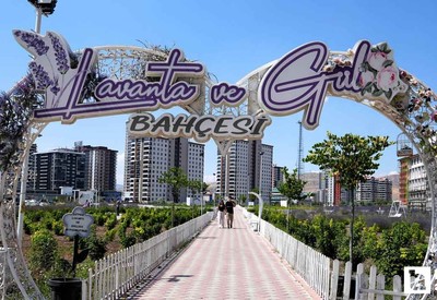 Burada çay kadınlara bedava diğerlerine 2 TL! Ankara'nın mis kokan lavanta ve gül bahçesi