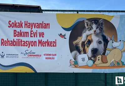 Kahramankazan Belediyesinden sokak hayvanlarına yardım eli!