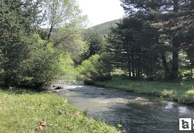 Piknik severler için saklı bir cennet: Burası İsviçre değil Ankara!