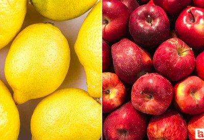 Elma, limon ve tatlı limonun ihracının kayda bağlandığı açıklandı
