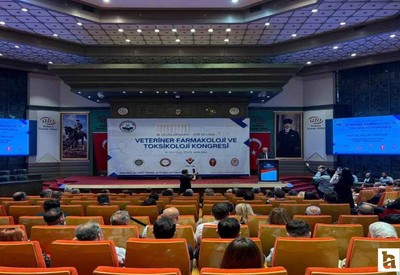 TVHB Merkez Konseyi'nden 'Tek Sağlık Yasası' çağrısı