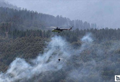 Bakan Yumaklı, 3 ilde süren orman yangınlarına ilişkin son durumu açıkladı