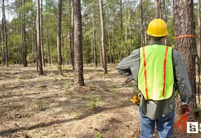 Orman Genel Müdürlüğü, Ankara'da daimi işçi alacak!