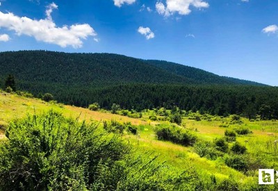 Ankara'da Karadeniz'i yaşatan tabiat parkı