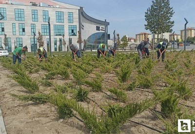 Etimesgut Belediyesi park ve bahçelerde mevsimsel bakım çalışmalarını sürdürüyor