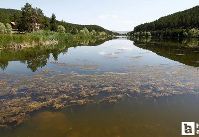 Ankara'da kafa dağıtmak için sessiz ve huzurlu yer arayanlar buraya koşuyor!
