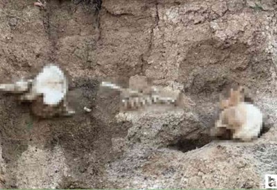 Yozgat'ta devriye atan ekipler kafatası ve kemik parçaları buldu