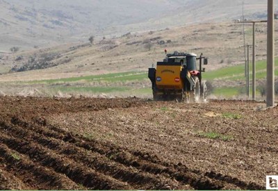 Çiftçilere 349 milyon TL'lik destek ödemesi hesaplara yatırılıyor