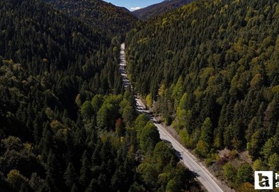 Ankaralıların hemen burnunun dibindeki doğal cennet: Şimdi renk cümbüşü!