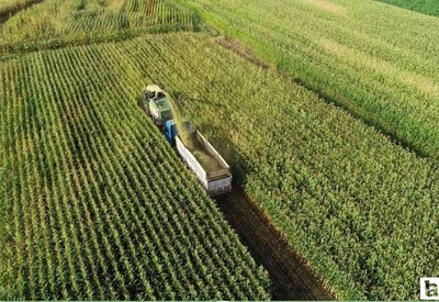 Çiftçilere 320 milyon TL'lik destekleme ödemesi hesaplara aktarılacak