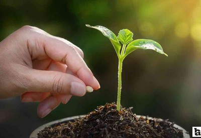 Sincan Belediyesi'nden çiftçilere tohum desteği!