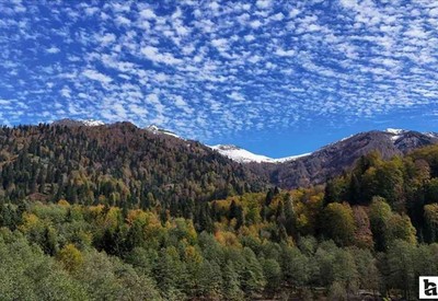 Başkentliler sonbaharın tüm renklerini bir arada görmek için buraya akın ediyor!