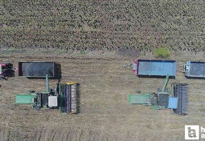 Çiftçilere 2 milyar 834 milyon TL'lik destekleme ödemesi yatırılacak