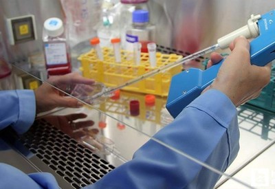 Kanserin kesin çaresi kekik yağı mı? Fareler üzerinde deneyler başladı