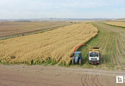 Ankara Büyükşehir Belediyesi'nden üreticilere destek
