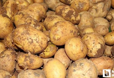 Ticaret Bakanlığı'ndan patates fiyatlarına ilişkin açıklama geldi!
