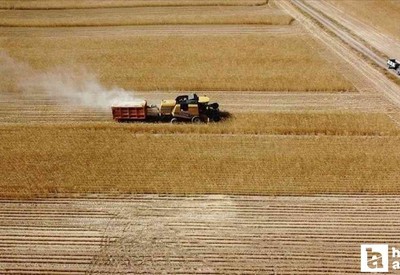 Çiftçilere 1 milyar TL'den fazla tarımsal destek ödemesi yatırılacak