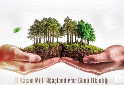 Sincan Belediyesi'nden davet: Bir fidan dik, geleceğe umut ol