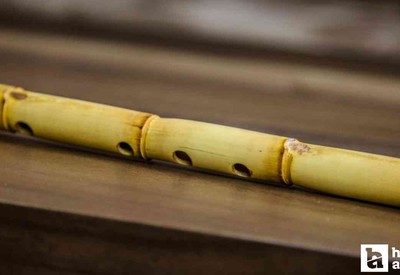 ABB, ney kursu kayıtlarının başladığını duyurdu